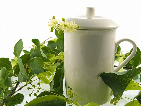obrázek ke článku Fermentace a bylinné osvěžující čaje
