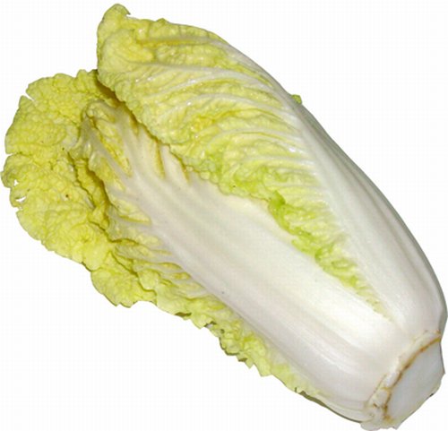 obrázek ke článku Čekanka listová (Cichorium endivia) - čekankové puky 