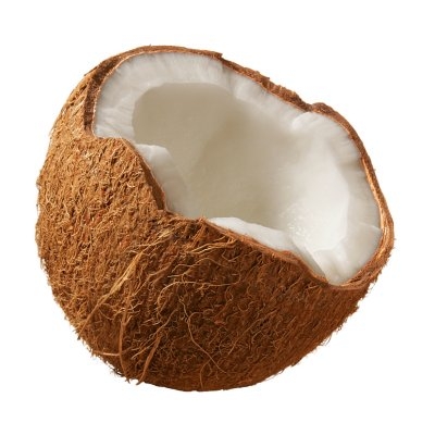 obrázek ke článku Kokosový ořech – kokosovník ořechoplodý